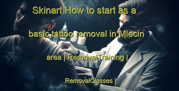 Skinart How to start as a basic tattoo removal in Mlecin area | RemovalTraining | RemovalClasses | SkinartTraining-Poland